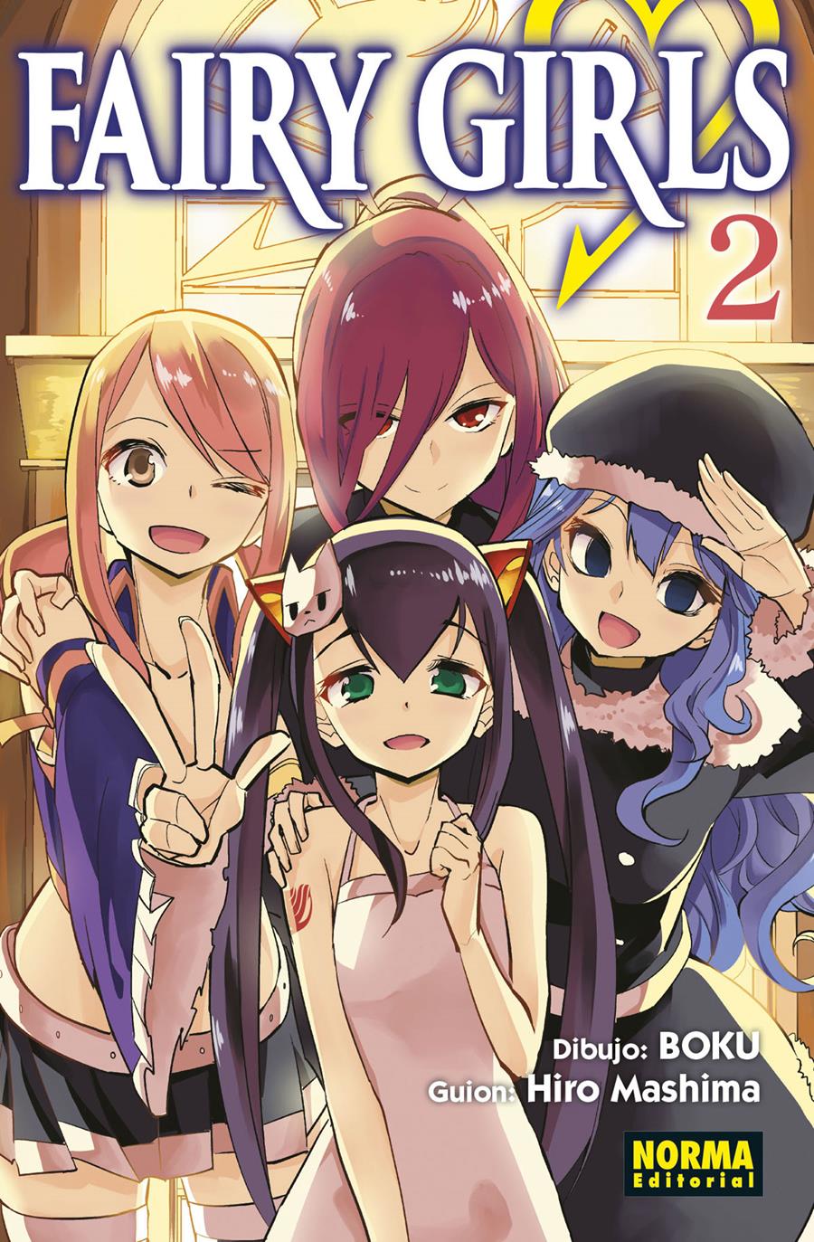 Fairy girls 02 | N0222-NOR16 | Hiro Mashima, Boku | Terra de Còmic - Tu tienda de cómics online especializada en cómics, manga y merchandising