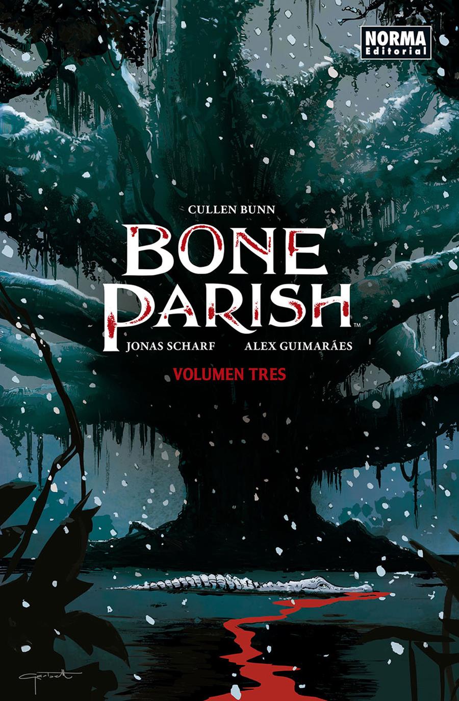 Bone Parish 03 | N0221-NOR13 | Cullen Bunn, Jonas Scharf, Alex Guimaraes | Terra de Còmic - Tu tienda de cómics online especializada en cómics, manga y merchandising