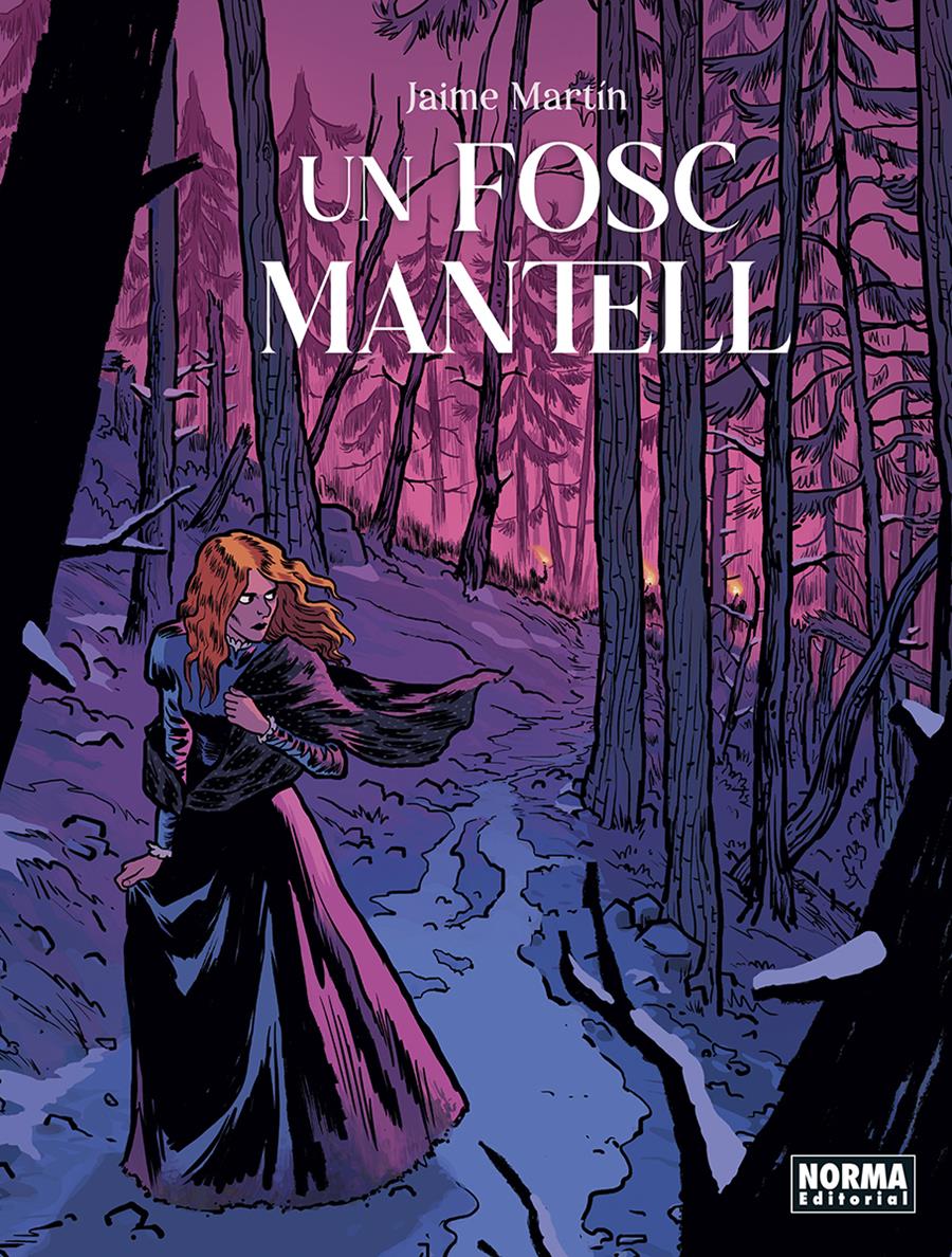 Un fosc mantell | N0524-NOR06 | Jaime Martín | Terra de Còmic - Tu tienda de cómics online especializada en cómics, manga y merchandising