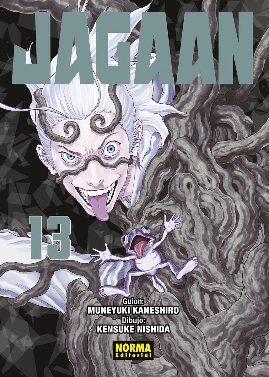 Jagaan 13 | N0523-NOR18 | Muneyuki Kaneshiro, Kensuke Nishida | Terra de Còmic - Tu tienda de cómics online especializada en cómics, manga y merchandising