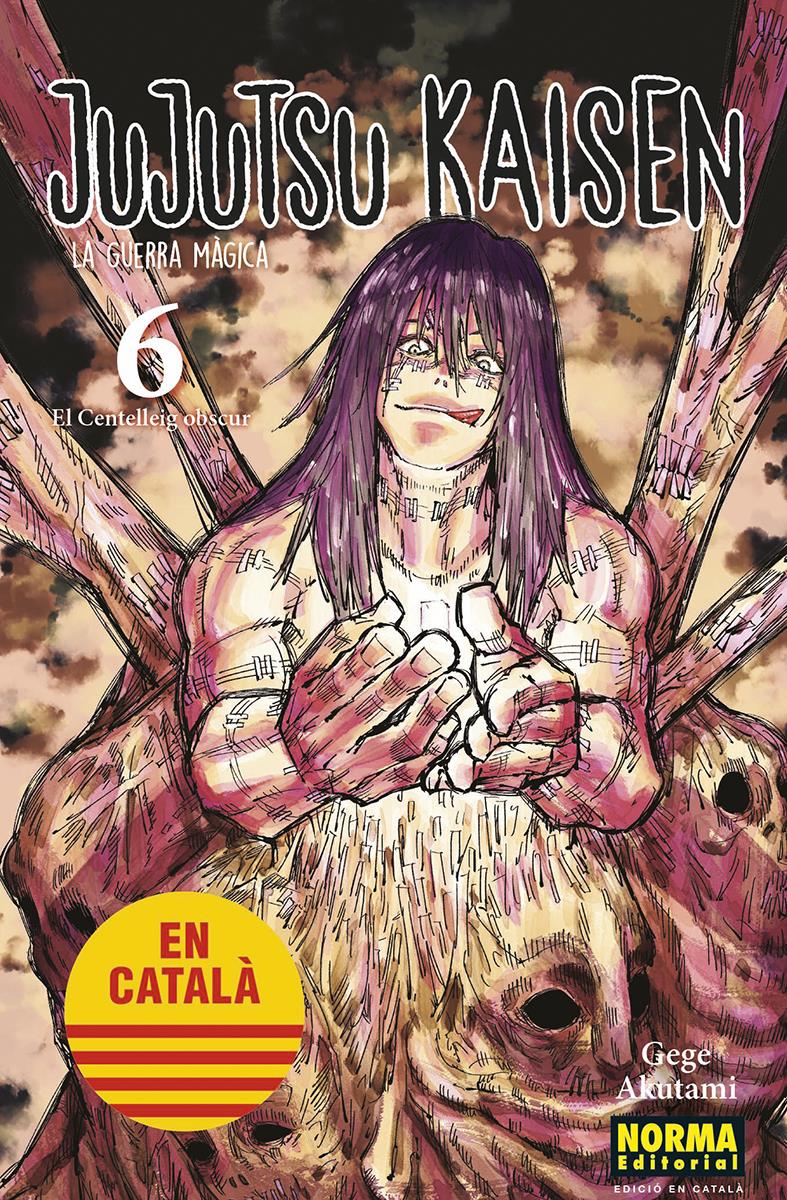 Jujutsu Kaisen 06 (Català) | N0423-NOR27 | Gege Akutami | Terra de Còmic - Tu tienda de cómics online especializada en cómics, manga y merchandising