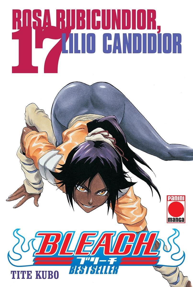 Bleach Bestseller 17 | N0224-PAN02 | Tite Kubo | Terra de Còmic - Tu tienda de cómics online especializada en cómics, manga y merchandising