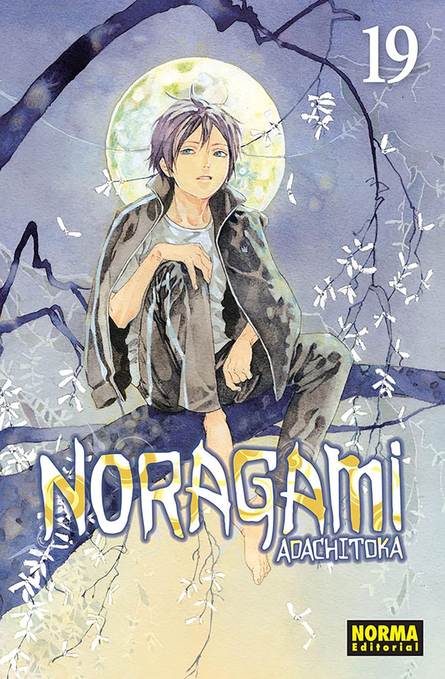 Noragami 19 | N0719-NOR34 | Adachitoka | Terra de Còmic - Tu tienda de cómics online especializada en cómics, manga y merchandising