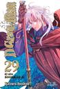 D.Gray Man 29  | N0426-IVR01 | Katsura Hoshino | Terra de Còmic - Tu tienda de cómics online especializada en cómics, manga y merchandising