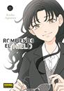 Rompiendo el hielo 11 | N0826-NOR29 | Kocha Agasawa | Terra de Còmic - Tu tienda de cómics online especializada en cómics, manga y merchandising