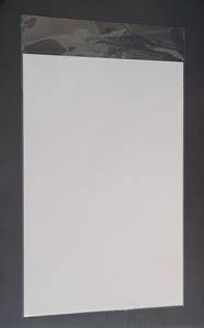 Funda + backing board tamaño current (unidades sueltas) | N1119-ECC100 | Terra de Còmic - Tu tienda de cómics online especializada en cómics, manga y merchandising