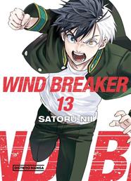 Wind Breaker 13 | N1125-OTED11 | Nii Satoru | Terra de Còmic - Tu tienda de cómics online especializada en cómics, manga y merchandising