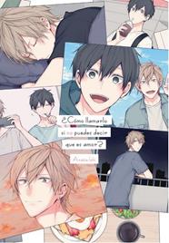 ¿Cómo llamarlo si no puedes decir que es amor? | N0223-ARE01 | Arata Ichi | Terra de Còmic - Tu tienda de cómics online especializada en cómics, manga y merchandising