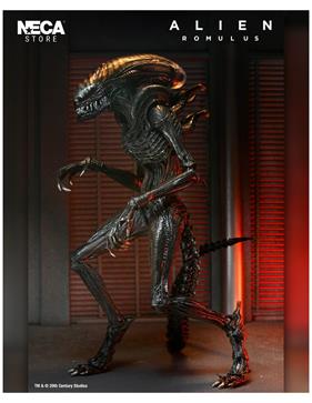 Ultimate Scorched Xenomorph. Alien: Romulus | N1025-MERCH01 | Terra de Còmic - Tu tienda de cómics online especializada en cómics, manga y merchandising