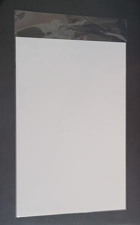 Funda + backing board tamaño current (unidades sueltas) | N1119-ECC100 | Terra de Còmic - Tu tienda de cómics online especializada en cómics, manga y merchandising