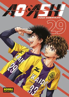 Ao Ashi 29 | N0425-NOR39 | Yugo Kobayashi | Terra de Còmic - Tu tienda de cómics online especializada en cómics, manga y merchandising